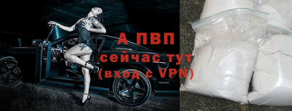 СК Волосово