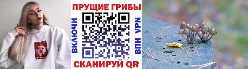 Галлюциногенные грибы ЛСД  Волжск 